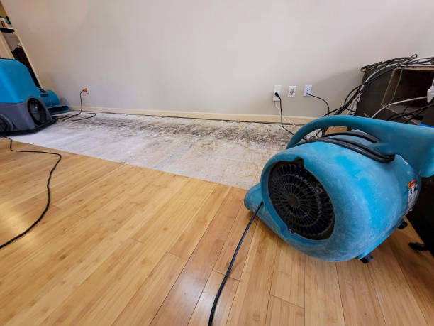Reliable Basement Flood Cleanup contractor in Whitsett, NC by Hirex Water Damage