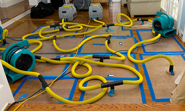 Professional Basement Flood Cleanup technician working in Whitsett, NC