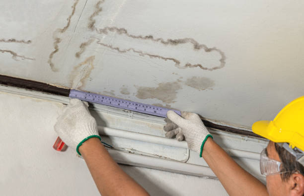 Affordable Water Damage Repair solutions in Whitsett, NC